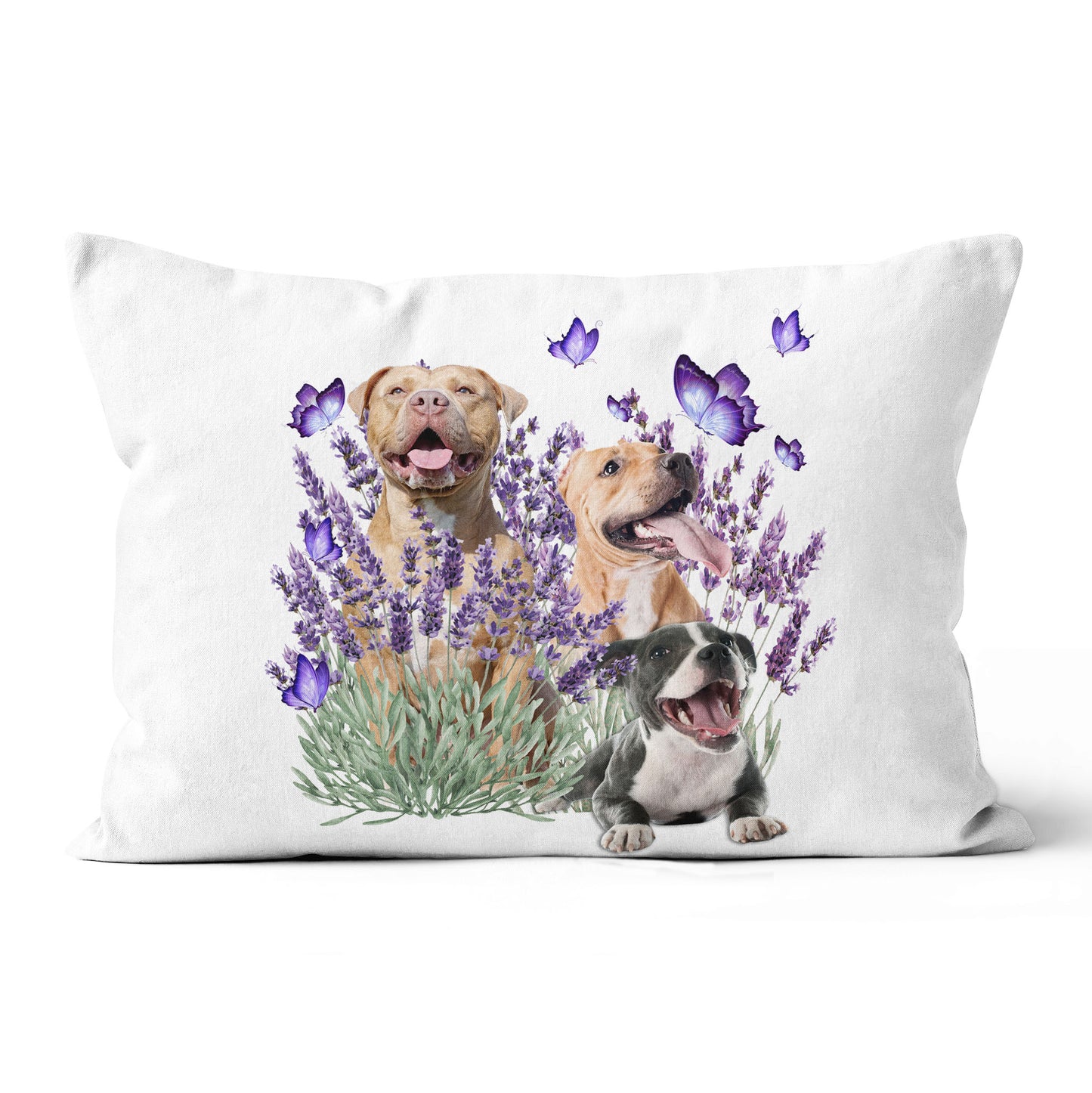 Home Decor Canvas Throw Pillow Purple Pillow Pitbull Dog Best Gift Family