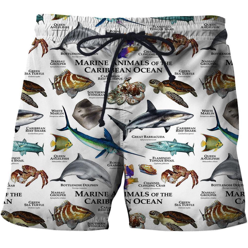 3D All Over Printed Marine Animals of the Caribbean Ocean Shirts And Shorts - Amaze Style™-Apparel