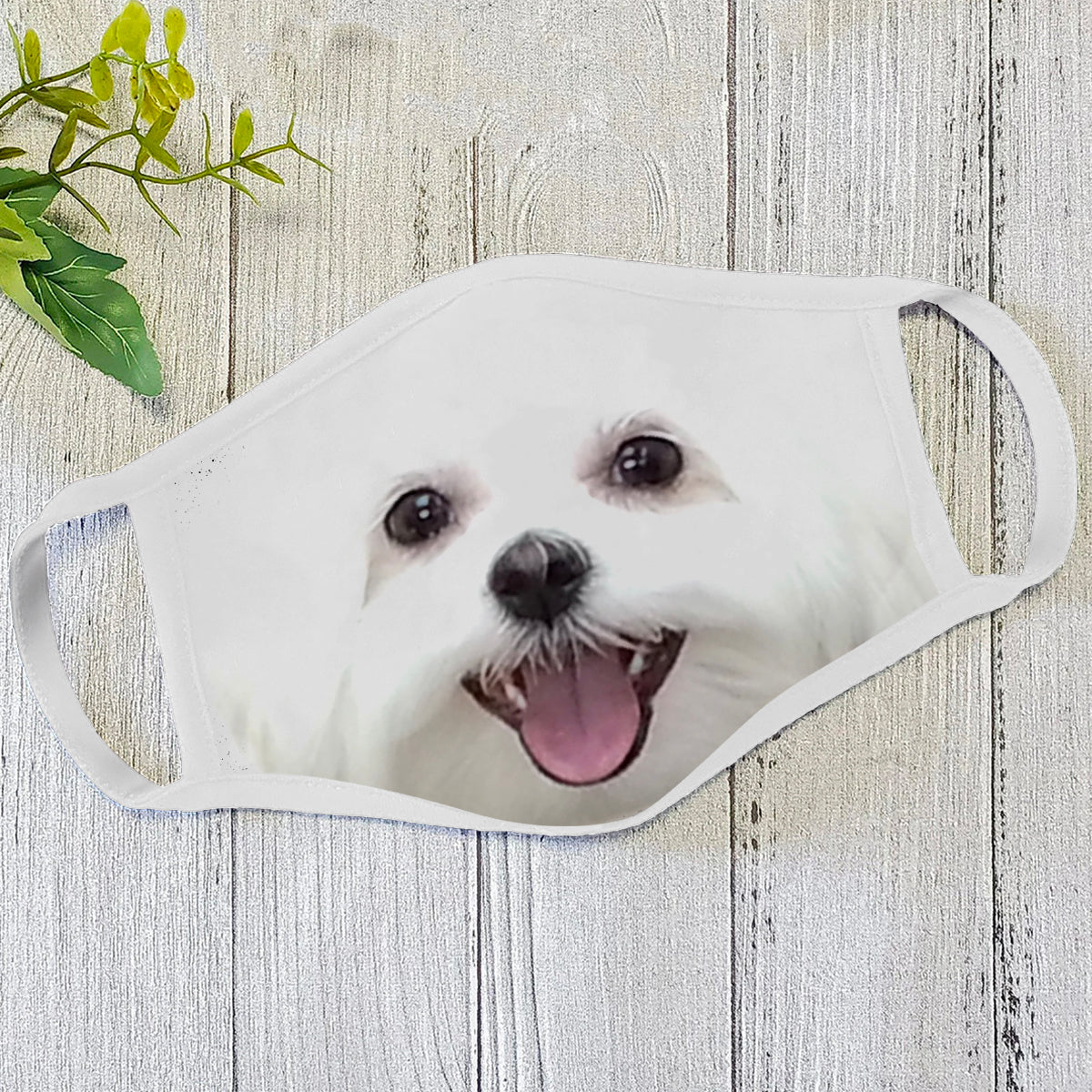 Dog Face Mask White HG
