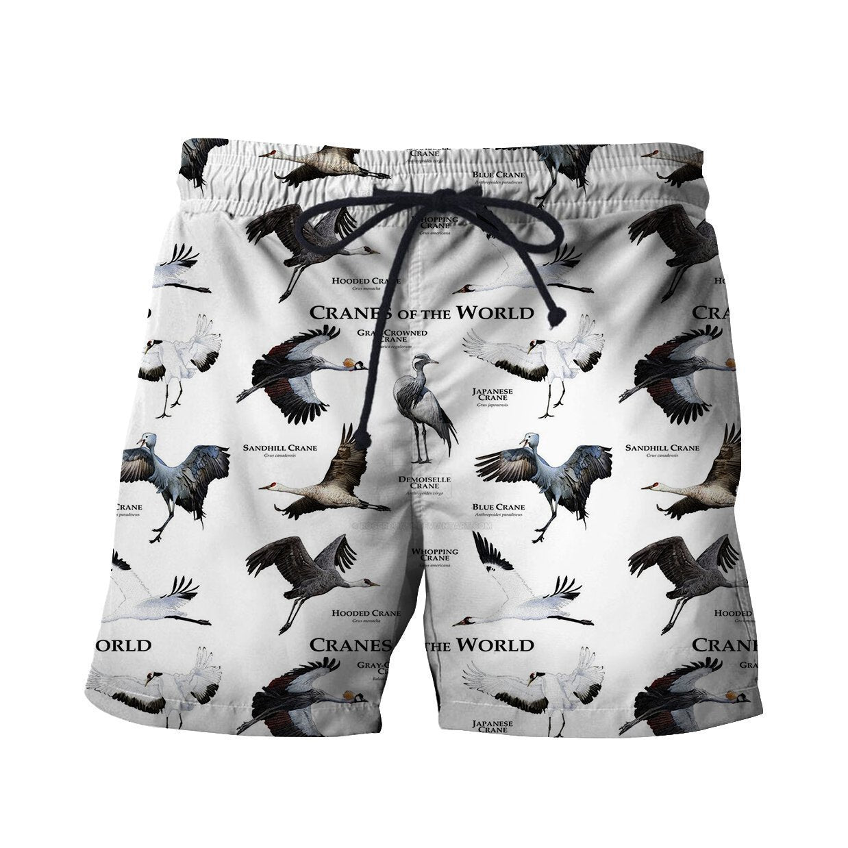 3D All Over Printed Cranes Of The World Shirts And Shorts - Amaze Style™-Apparel