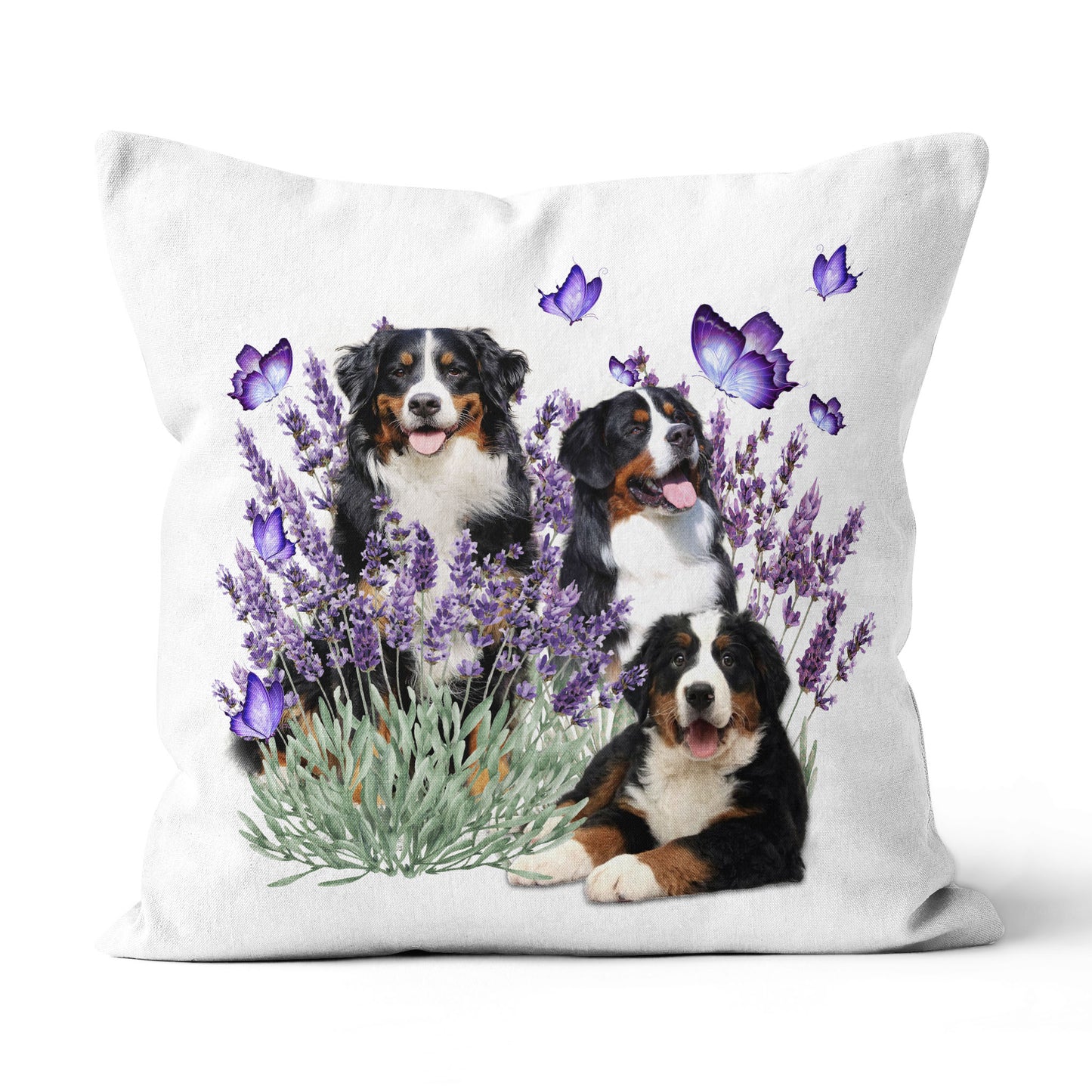 Home Decor Canvas Throw Pillow Purple Pillow Bernese Mountain Dog Best Gift Family
