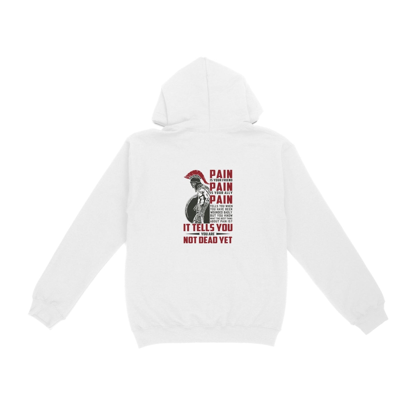 American Patriot Veteran Hoodie