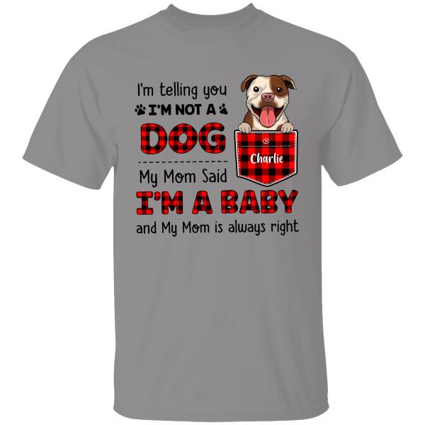 Telling You I Am Not A Dog Personalized T-shirt For Dog Lovers Amazing Gift For You Friends