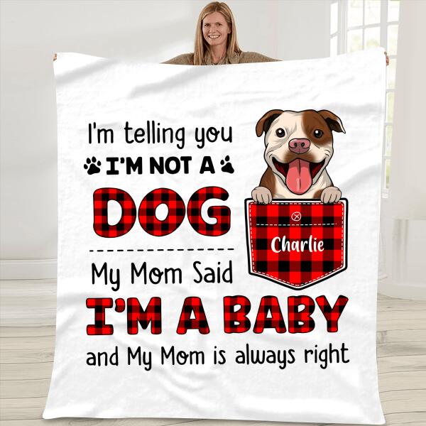 Telling You I Am Not A Dog Personalized T-shirt For Dog Lovers Amazing Gift For You Friends