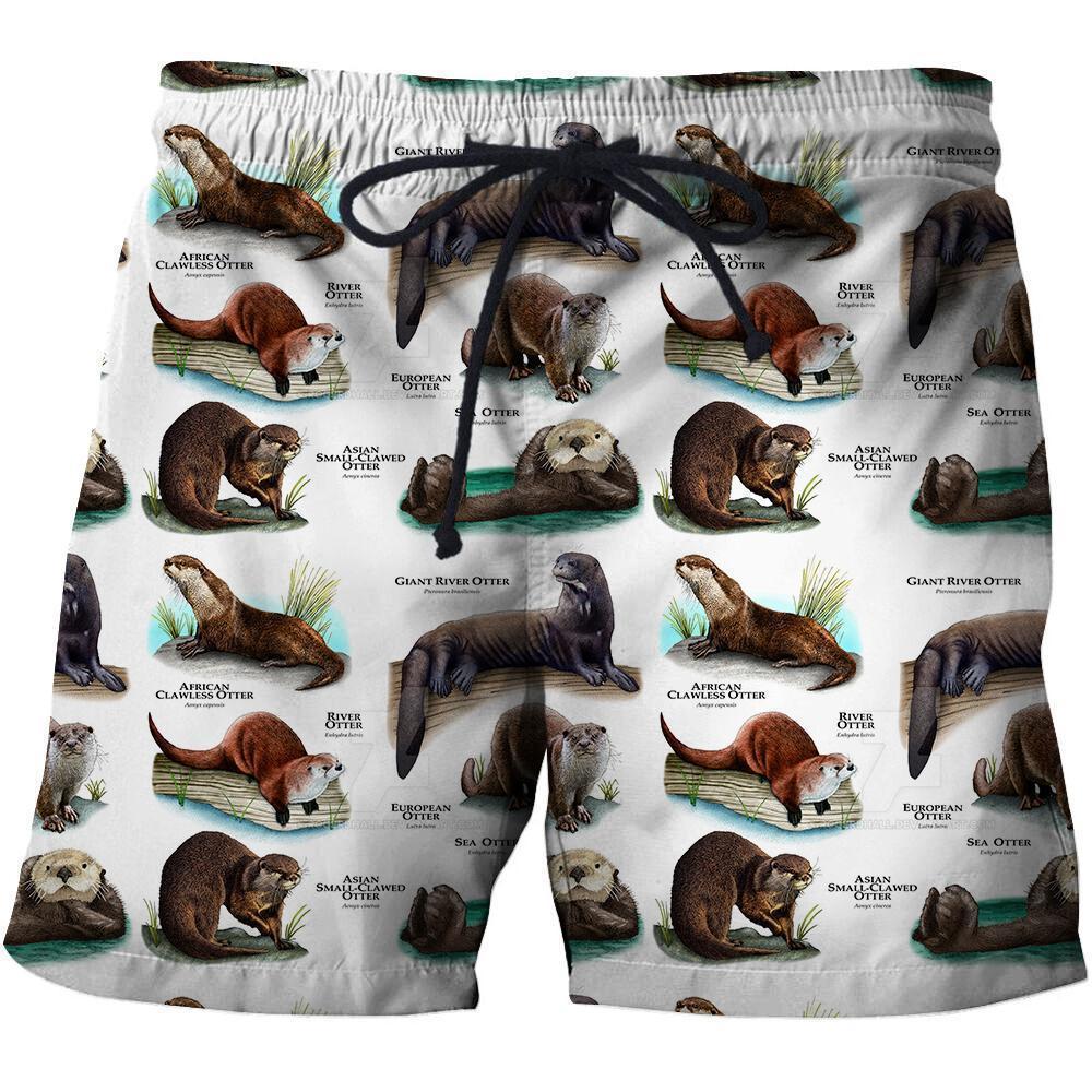3D All Over Printed Otters Of The World Shirts and Shorts - Amaze Style™-Apparel