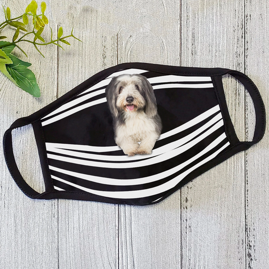 Bearded Collie Stripes All-Over-Print Face Mask DL