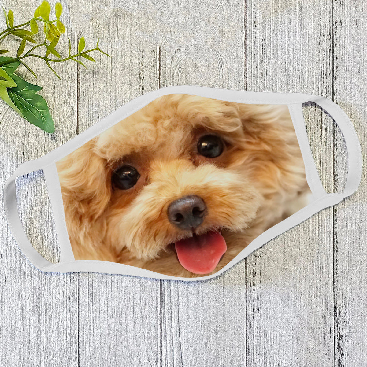 Dog Face Mask White HG