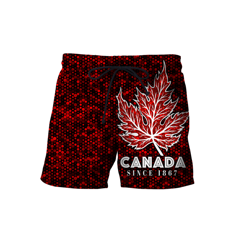 Canada Day No28 Personalize Premium Unisex Hoodie