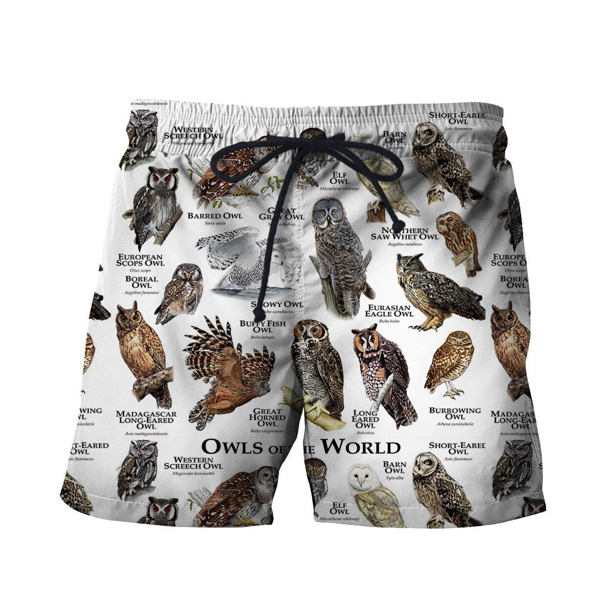 3D All Over Printed Owls of The World Shirts And Shorts - Amaze Style™-Apparel