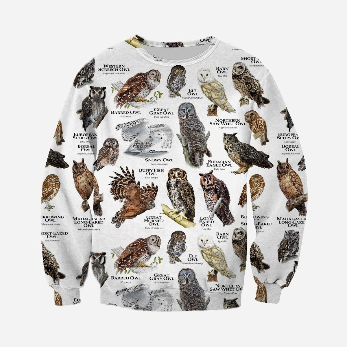 3D All Over Printed Owls of The World Shirts And Shorts - Amaze Style™-Apparel