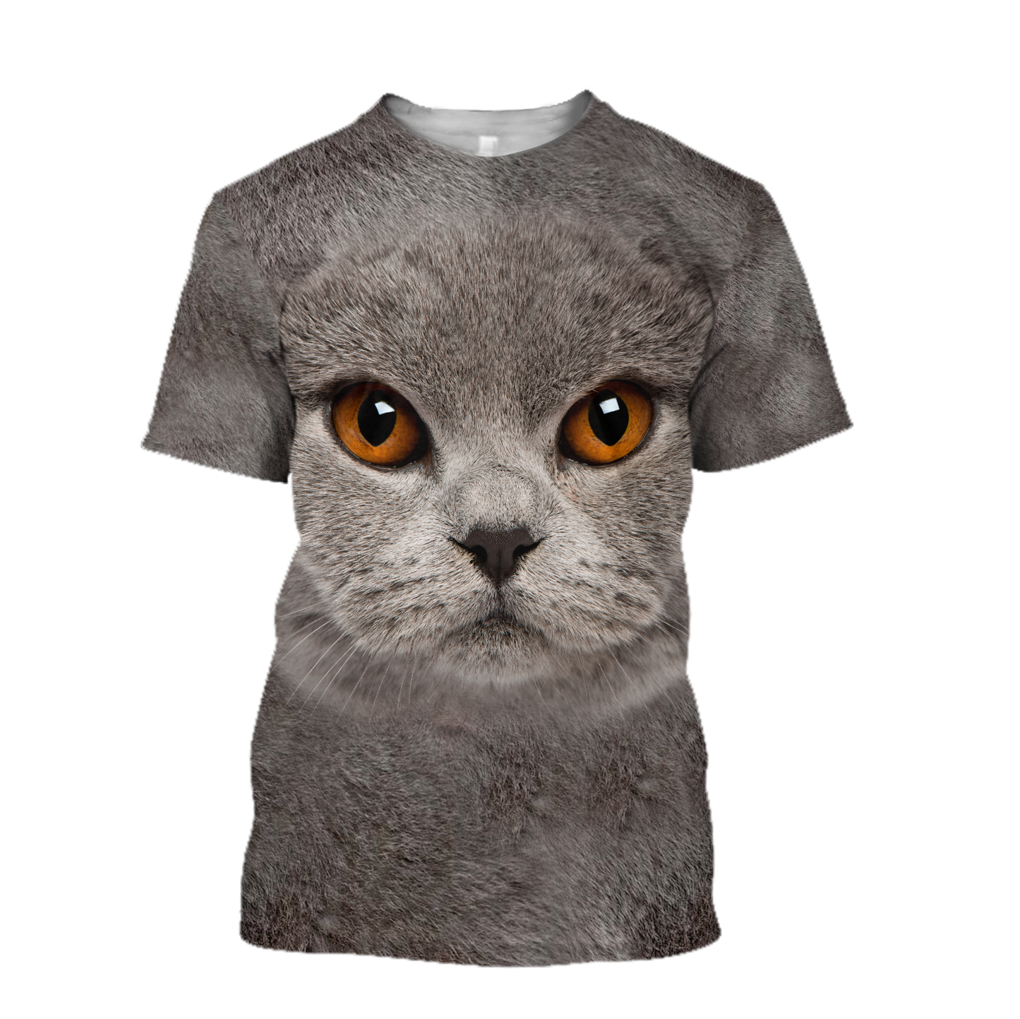 British Shorthair Cat face hair premium hoodie sweatshirt cover