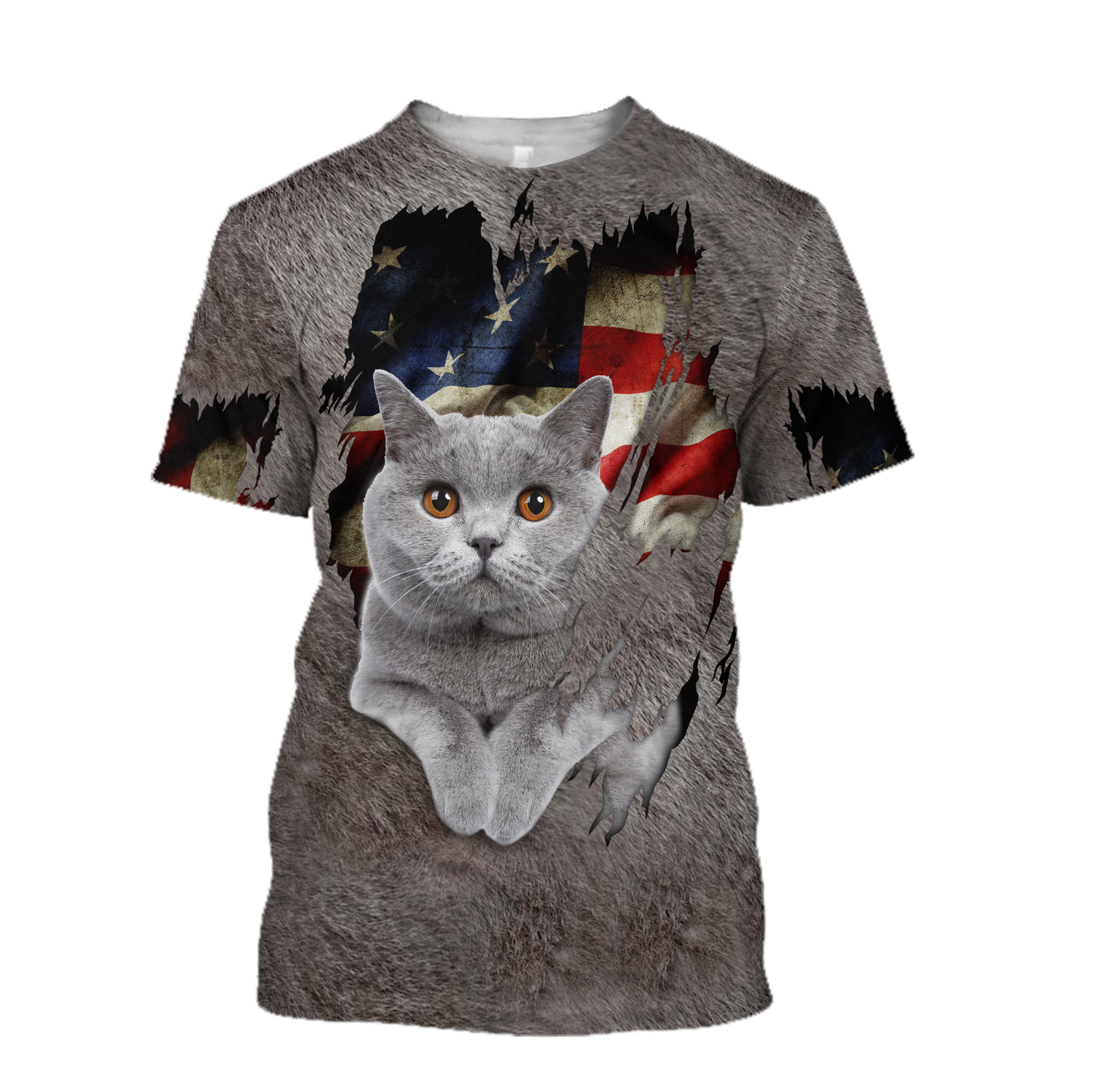 American British Shorthair cat 3D printed shirts for men and women