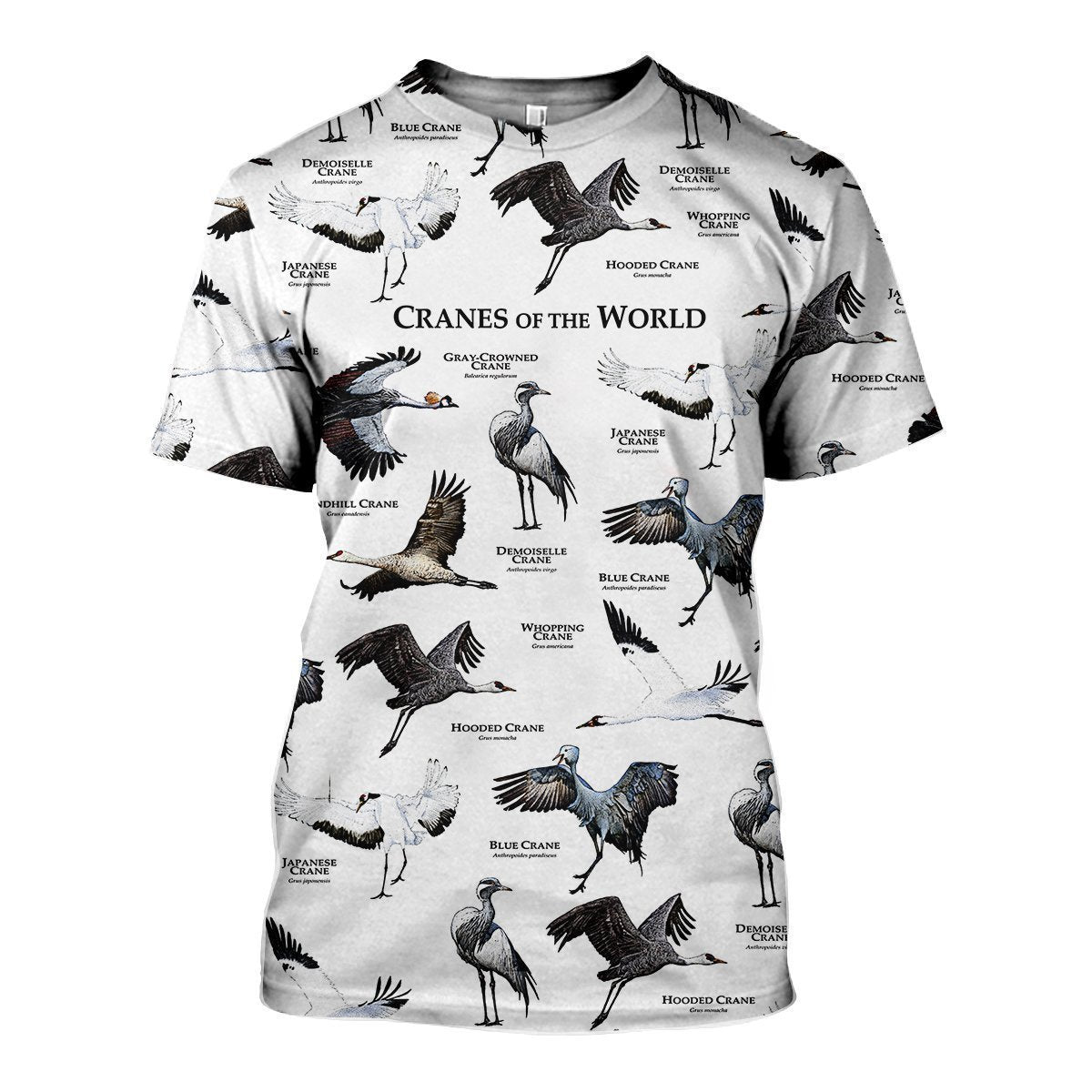 3D All Over Printed Cranes Of The World Shirts And Shorts - Amaze Style™-Apparel