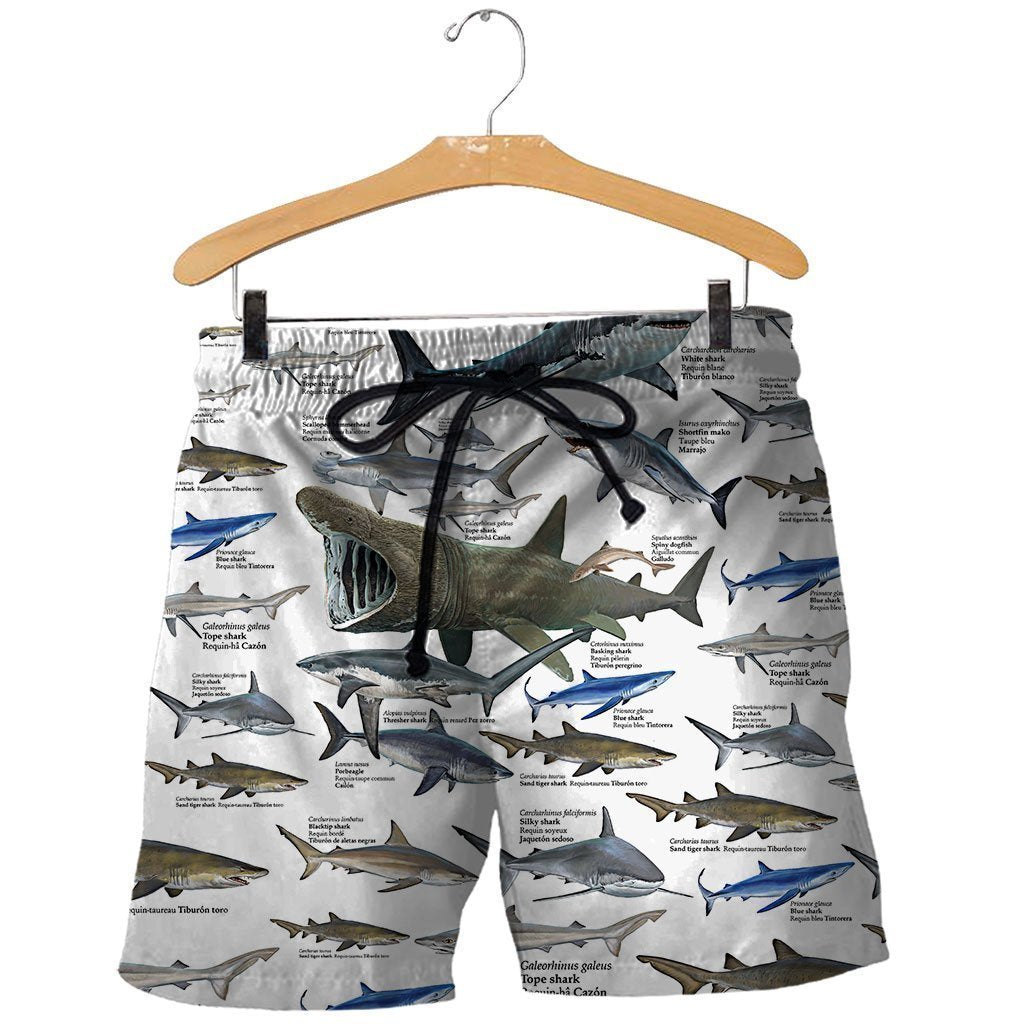 3D All Over Printed Shark Types Shirts - Amaze Style™-Apparel