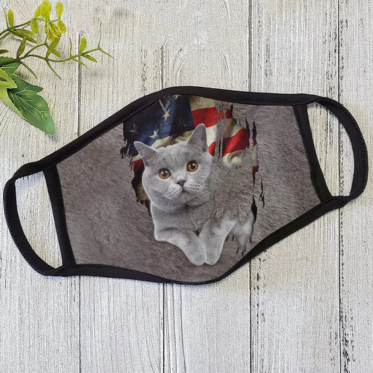 American British Shorthair cat Faith Mask HC