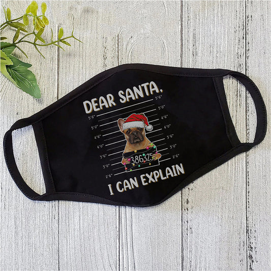 Cute Pug Dear Santa I Can Explain Face Mask TN