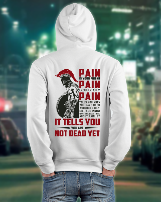 American Patriot Veteran Hoodie