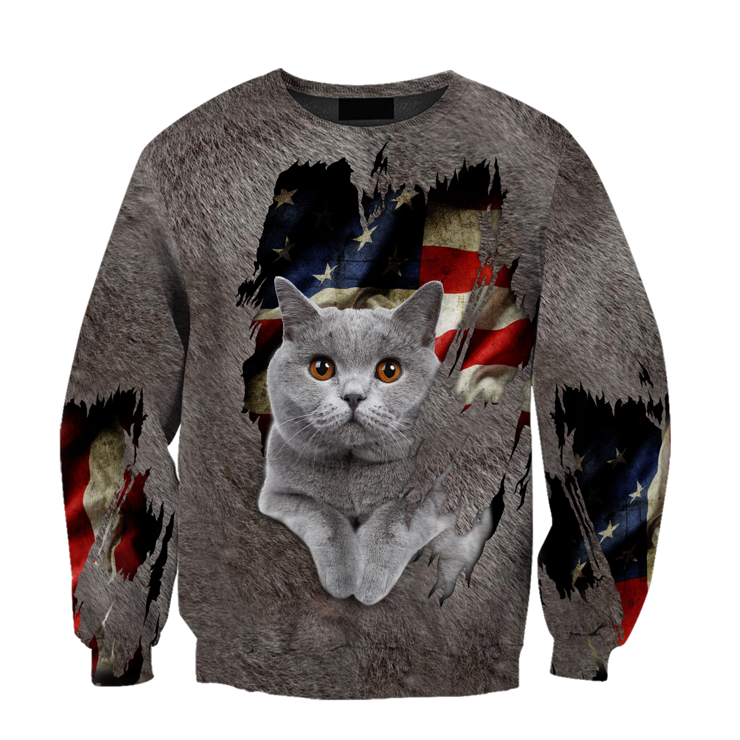 American British Shorthair cat 3D printed shirts for men and women