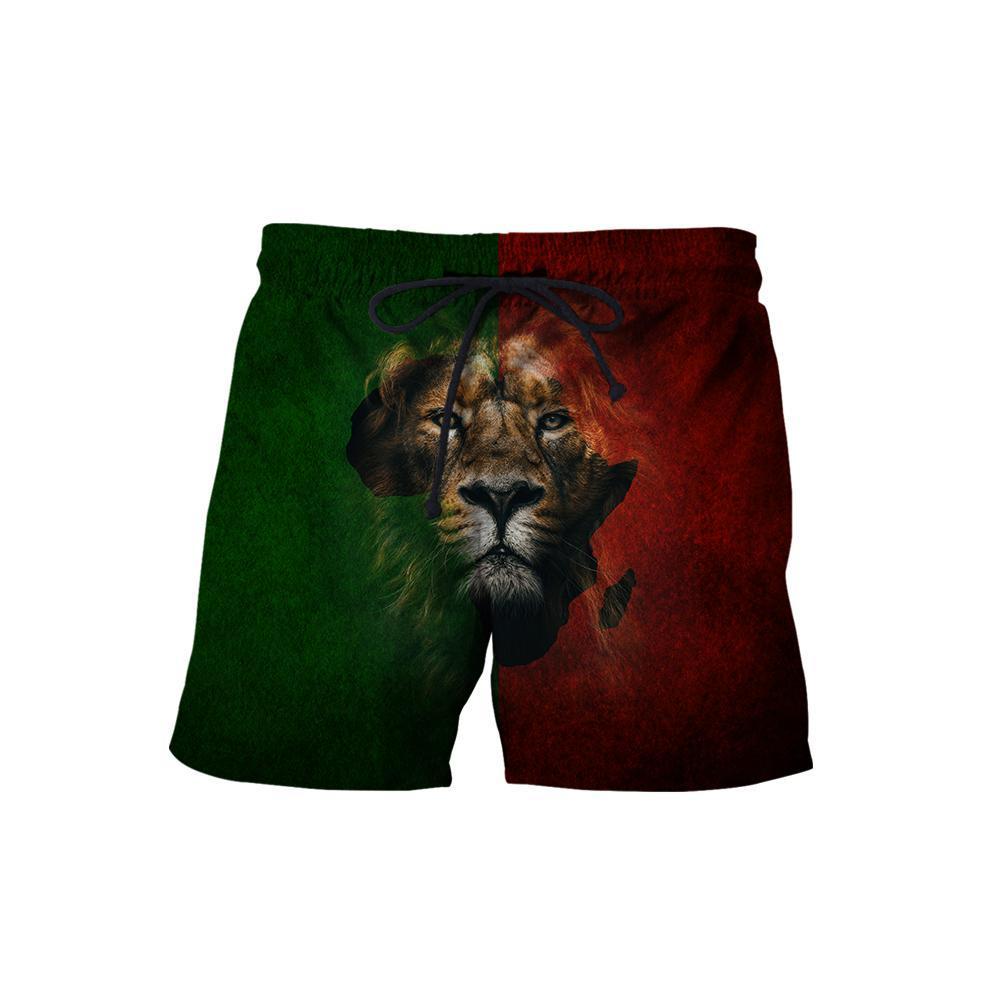 African Lion Power Hoodie