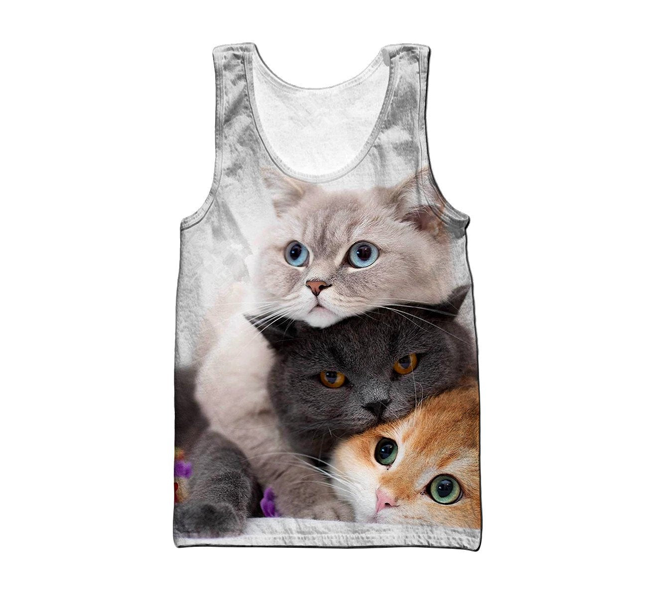 British Shorthair Cat 3D All Over Printed Shirts For Men and Women